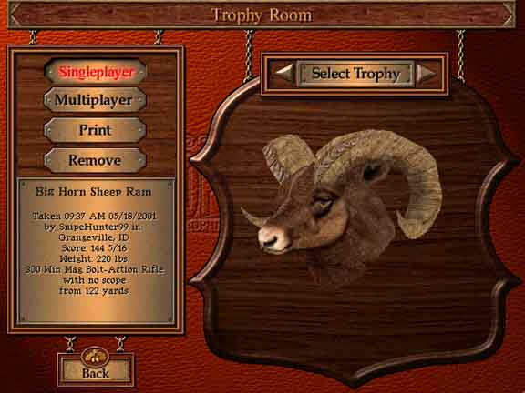 Nice Bighorn