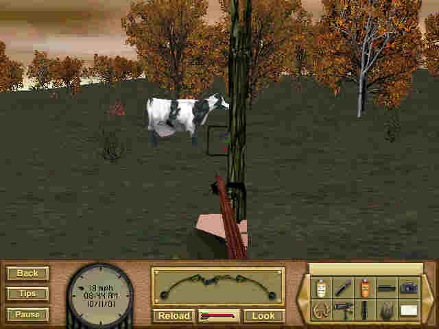 cowshoot.jpg
